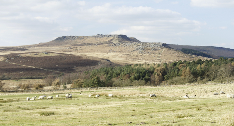 Higger Tor Higger Tor